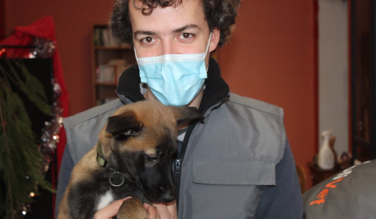 theo, vétérinaire, tient un jeune berger allemand dans ses bras