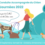 Illustration. Une jeune femme promène ses 4 chiens qui invitent aux journées de la CAC