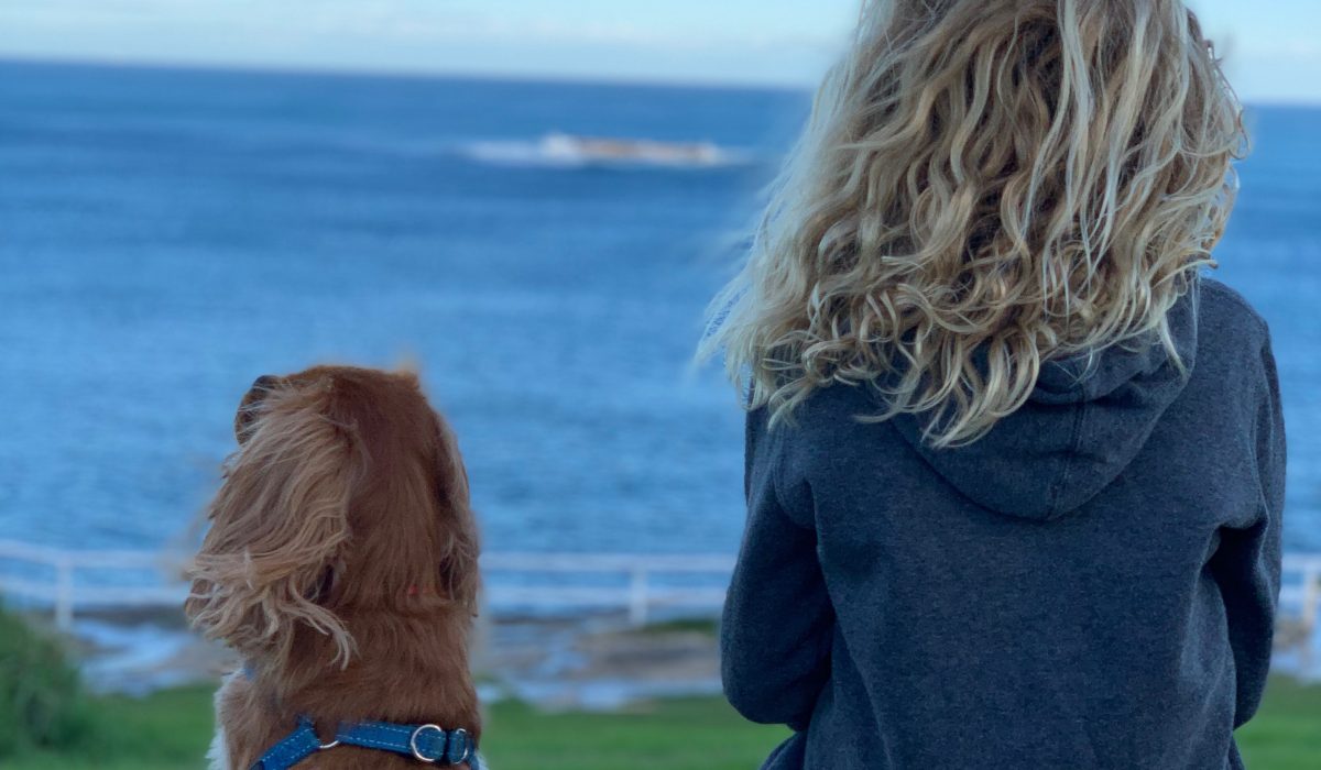 Un chiot et un enfant vus de dos contemplent la mer bleue